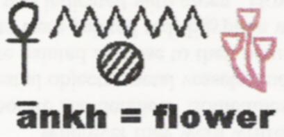 Determinative - three flowers hieroglyph:  ANKH, meaning 'flower' in Egyptian