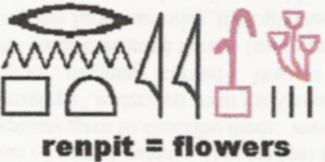 Determinatives - a potted reed and three flowers hieroglyphcs:  RENPIT, meaning 'flowers' in Egyptian; can also mean 'year'